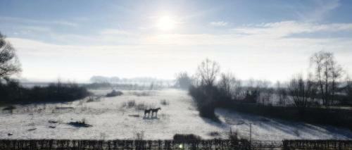 Bed & Breakfast Waard Van Kekerdom