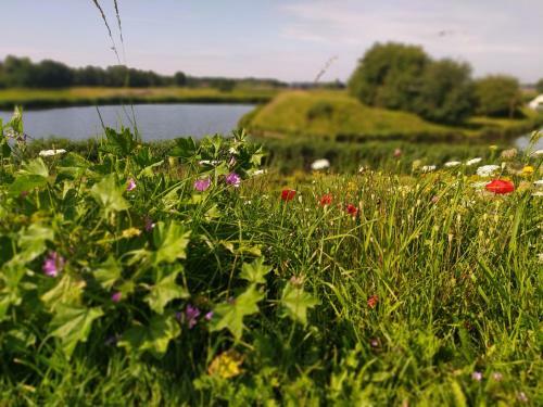 Apartamento Family Inn Kaatsheuvel