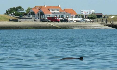 Apartamento Heerenkeet Oosterschelde Zicht 2 Pers