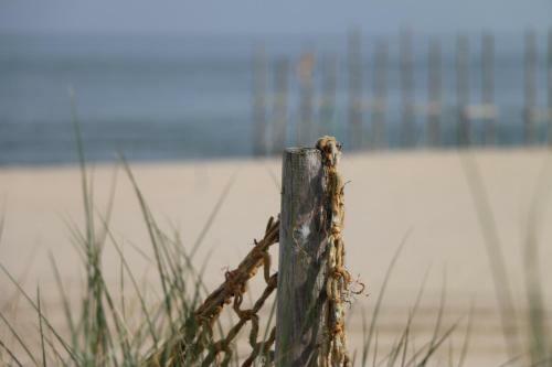 Ferienhaus Am Meer Mit Kamin & Sauna - Seestern 251