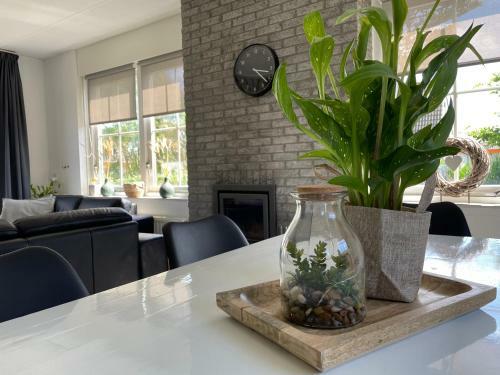 Bungalow Strandparel