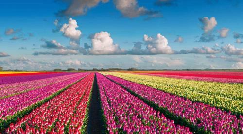 Heerlijk Aan Zee
