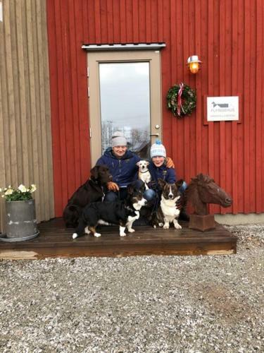 Bed & Breakfast Flyingehus G�rdshotell