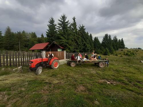 Hostal Hajnal Vend�gh�z