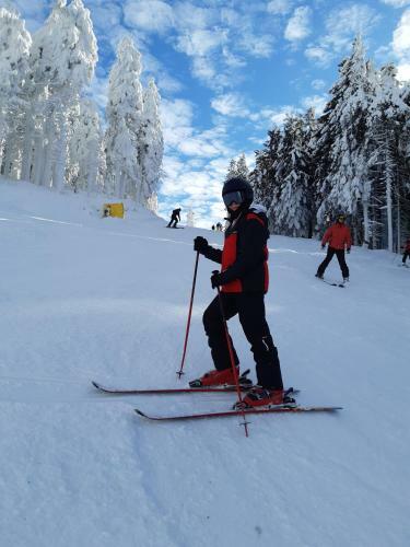 Hostal Hajnal Vend�gh�z