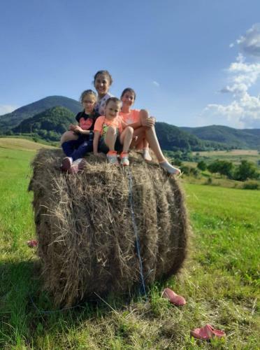Pensiunea La Buru