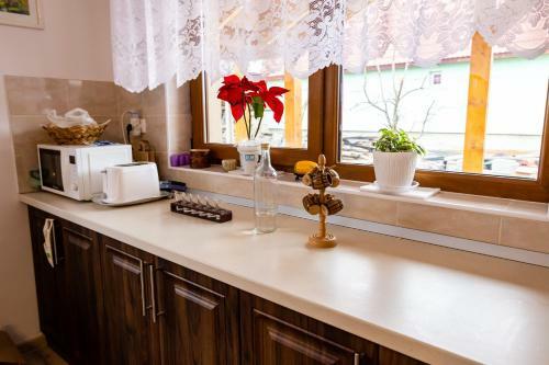 Hostal Csics�i Cs?rh�z