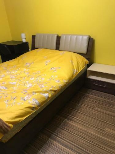 Apartamento Cozy Park Studio In City Center, Campina