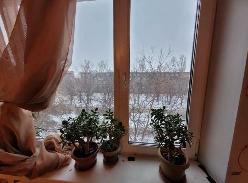 Apartamento Kamok Sanniy