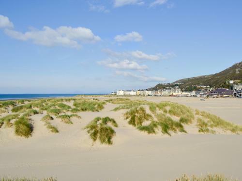 Cae-fadog Fach