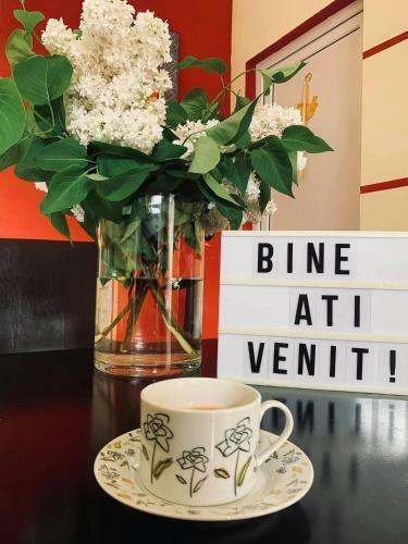 Hostal Pensiunea P?str?vul