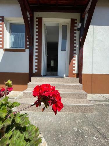 Villa Cozy House Neustadt