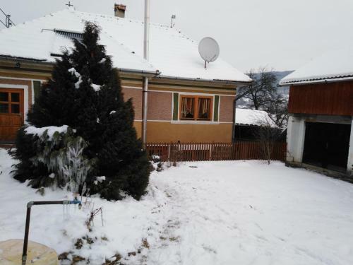 Cuib: Relaxare �n Transilvania, Printre Mun?i