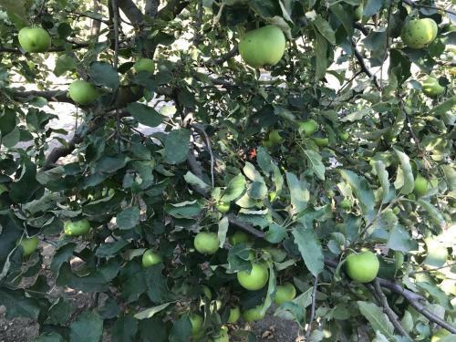 Agroturismo Teachers