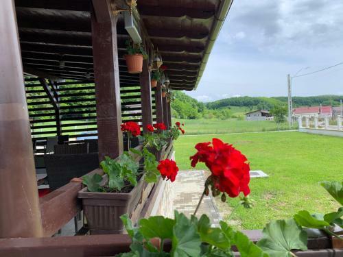 Hostal Pensiunea Cleja