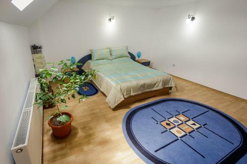 Hostal Casa Florilor