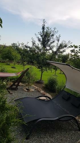 Hostal Casa Magnolia