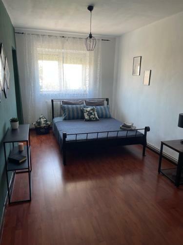 Romanescu View 3 Rooms Apartment Self-checkin