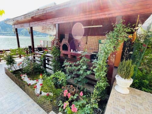 Hostal Casa Camelia