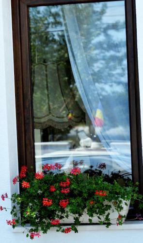 Hostal Casa Mora