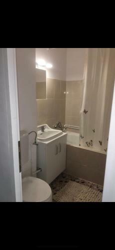 Apartamento Garsoniera Miky