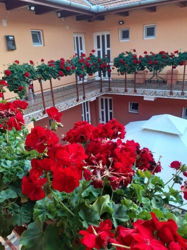 Hostal Casa Leucian