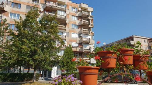 Apartament Sorina Maria