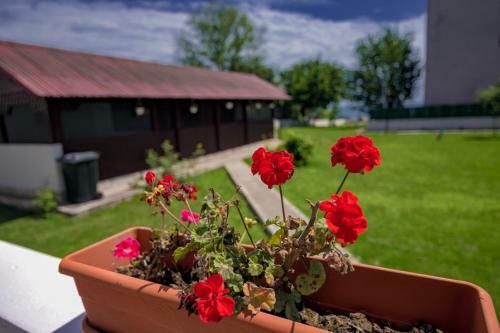 Hostal Casa Iordachescu 2 Mai