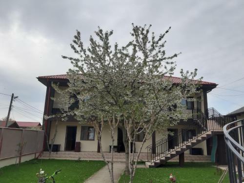 Hostal La Babusca
