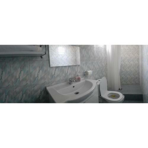 Hostal Casa Alexandru