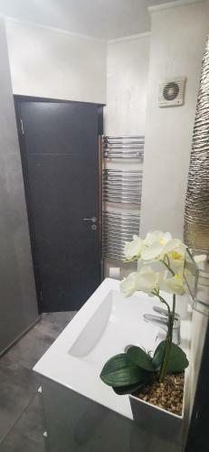 Apartamento Garsoniera Ultracentral