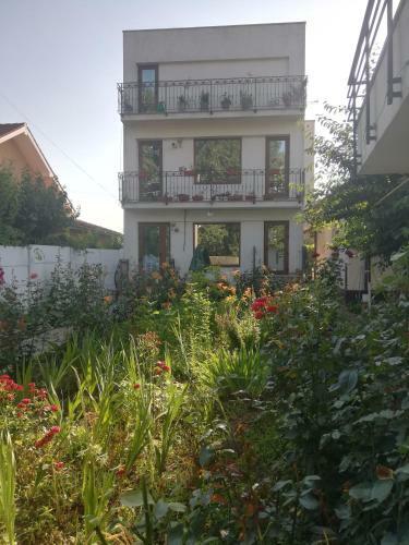 Apartamento Sofia Home