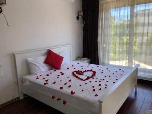 Hostal Pensiunea Pont-euxin
