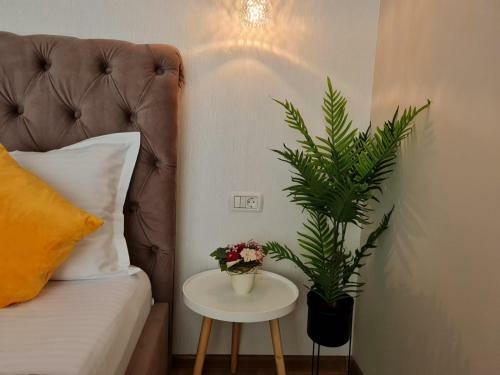 Hostal Vila Mrv