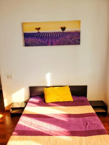 Apartamento Emerald 14