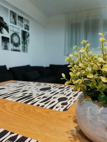 Apartamento La Lola