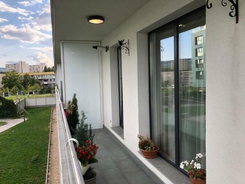 Apartamento Home Vibe