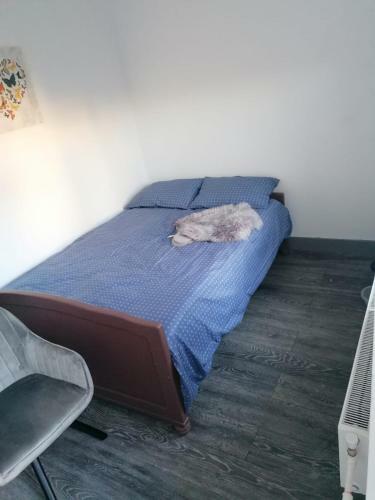Hostal Pensiunea Nela