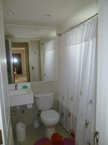 Apartamento La Puntilla de Villarrica