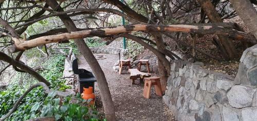 Casa de Monta�a Inmersa En Bosque Nativo