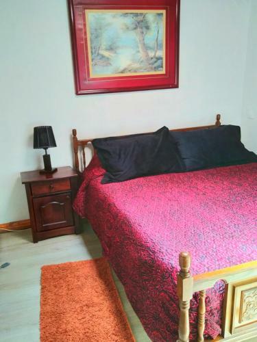 Albergue Hostal Gomero Y Shuttle Service