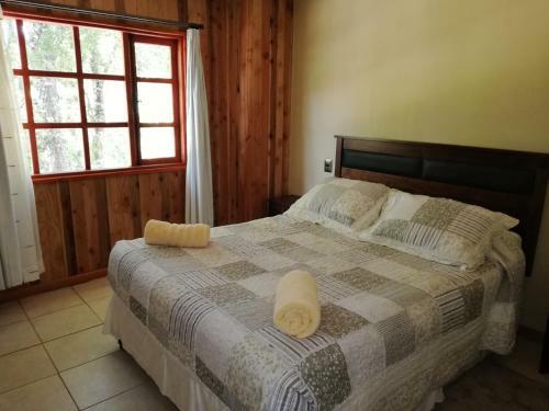 Apartamento El Boldo Magico