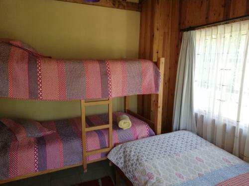 Apartamento El Boldo Magico
