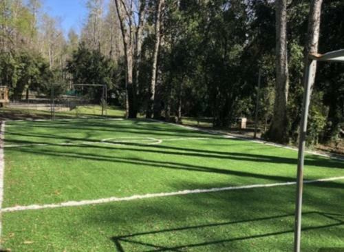 Apartamento Puc�n, Todo El A�o