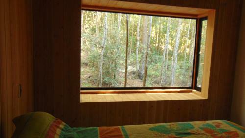 Caba�a Terraza Bosque Puc�n