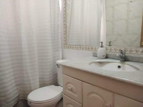 Gallo Negro