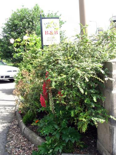 Bed & Breakfast Ashley House