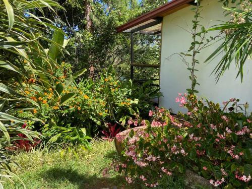Apartamento Caba�a Manal�