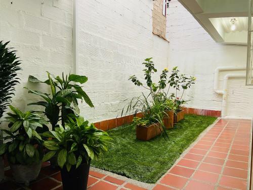Vivienda Tur�stica El Z�calo