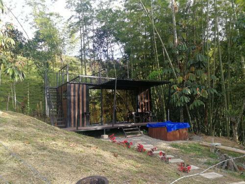 Hotel, Selva Negra